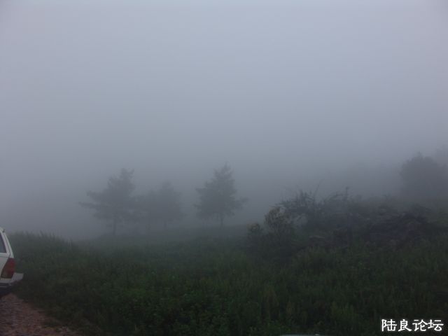 DSC00009.JPG
