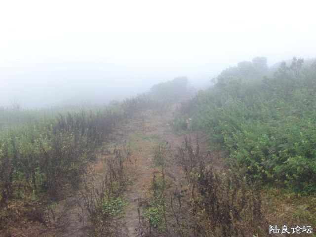 DSC00014.JPG