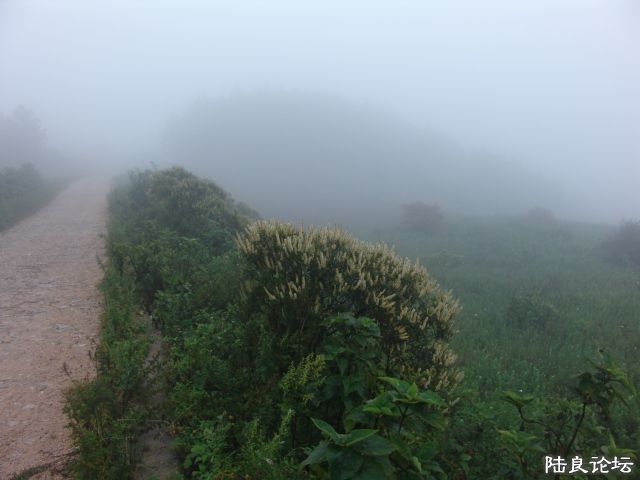 DSC00022.JPG