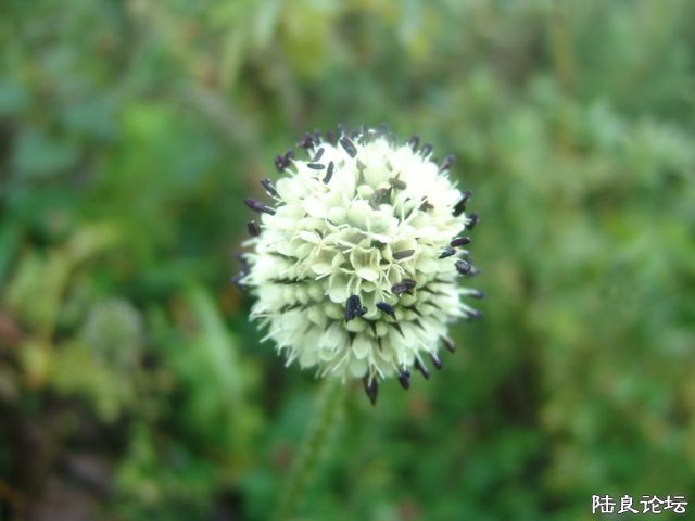 DSC09998.JPG
