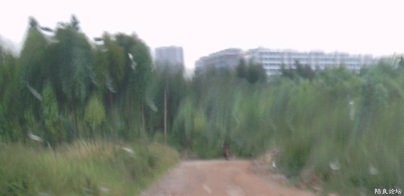 k.jpg