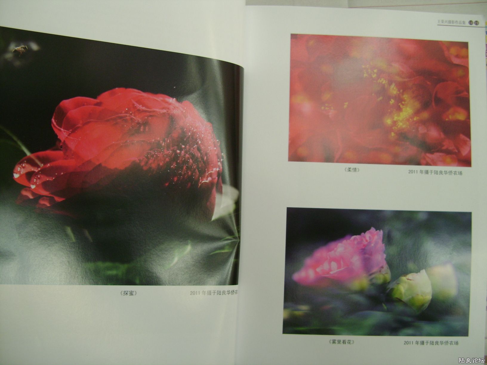 DSC07268.JPG DSC07268.JPG