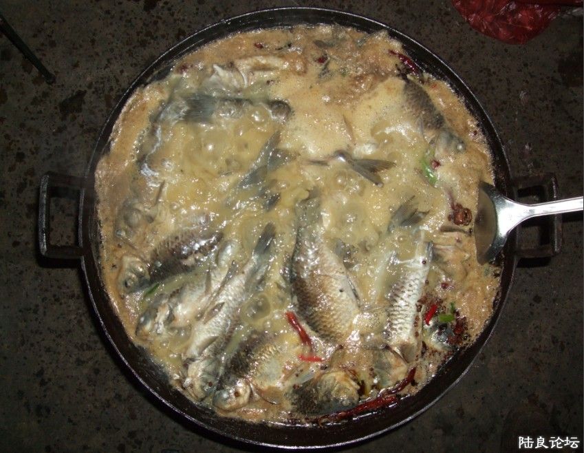 09.jpg