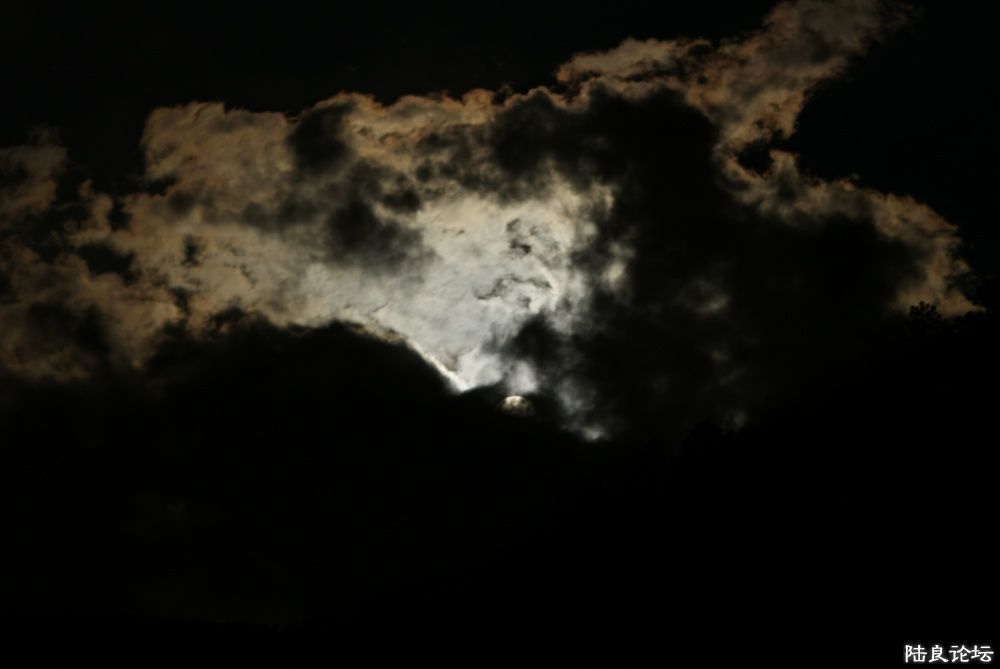 DSC08426.jpg