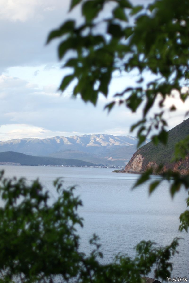 DSC09028.jpg