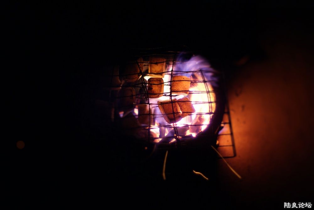 DSC09261.jpg