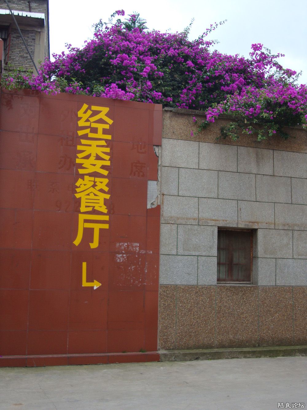  DSC01723.jpg