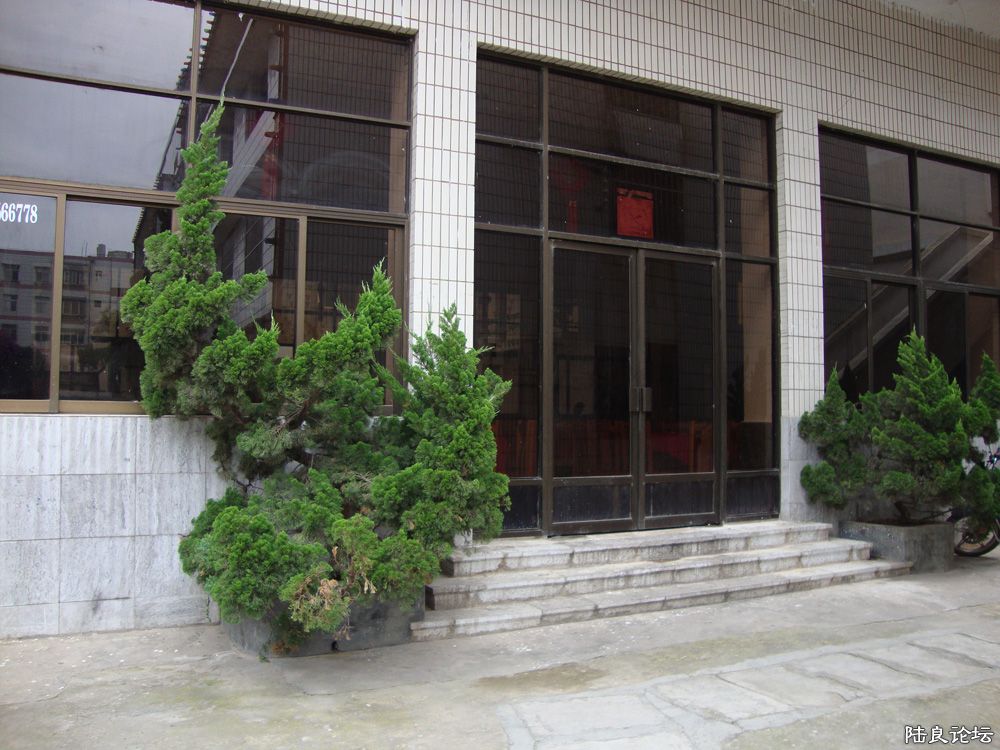 DSC01728.jpg