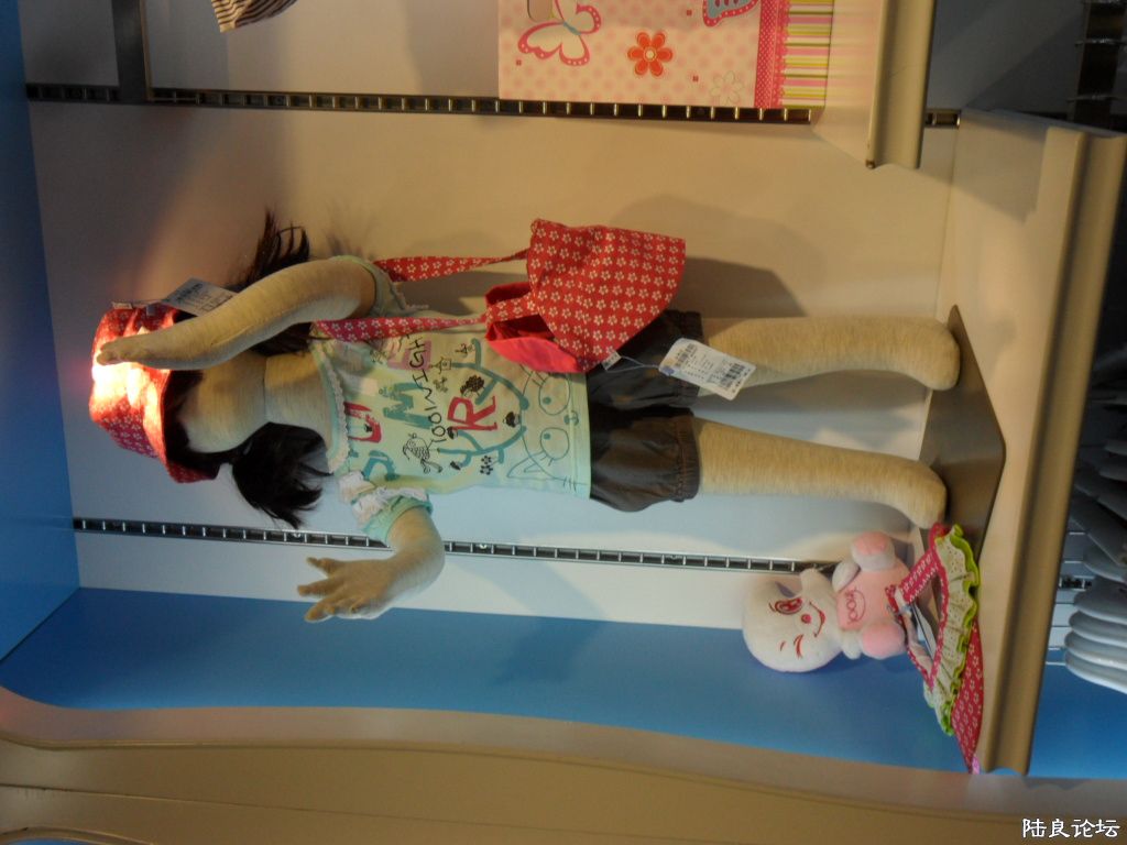 SAM_0968.JPG