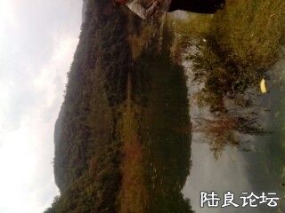 psbCAODG5L1.jpg