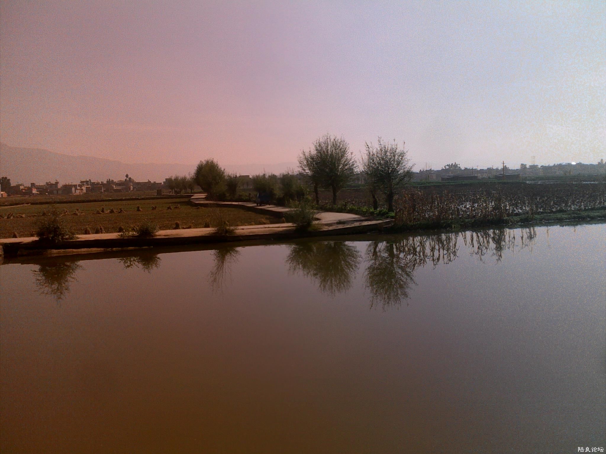 20121117516.jpg
