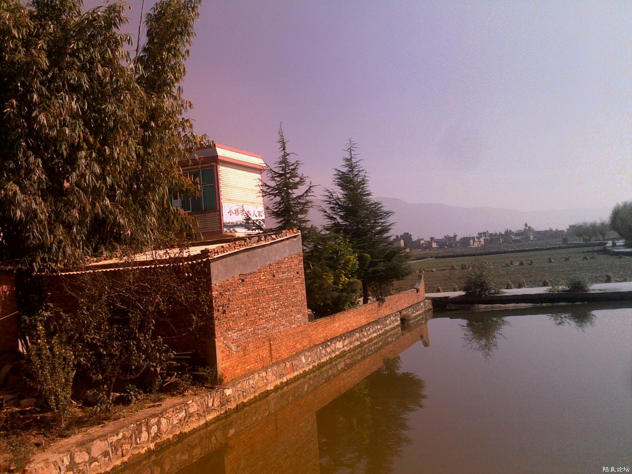 20121117518.jpg