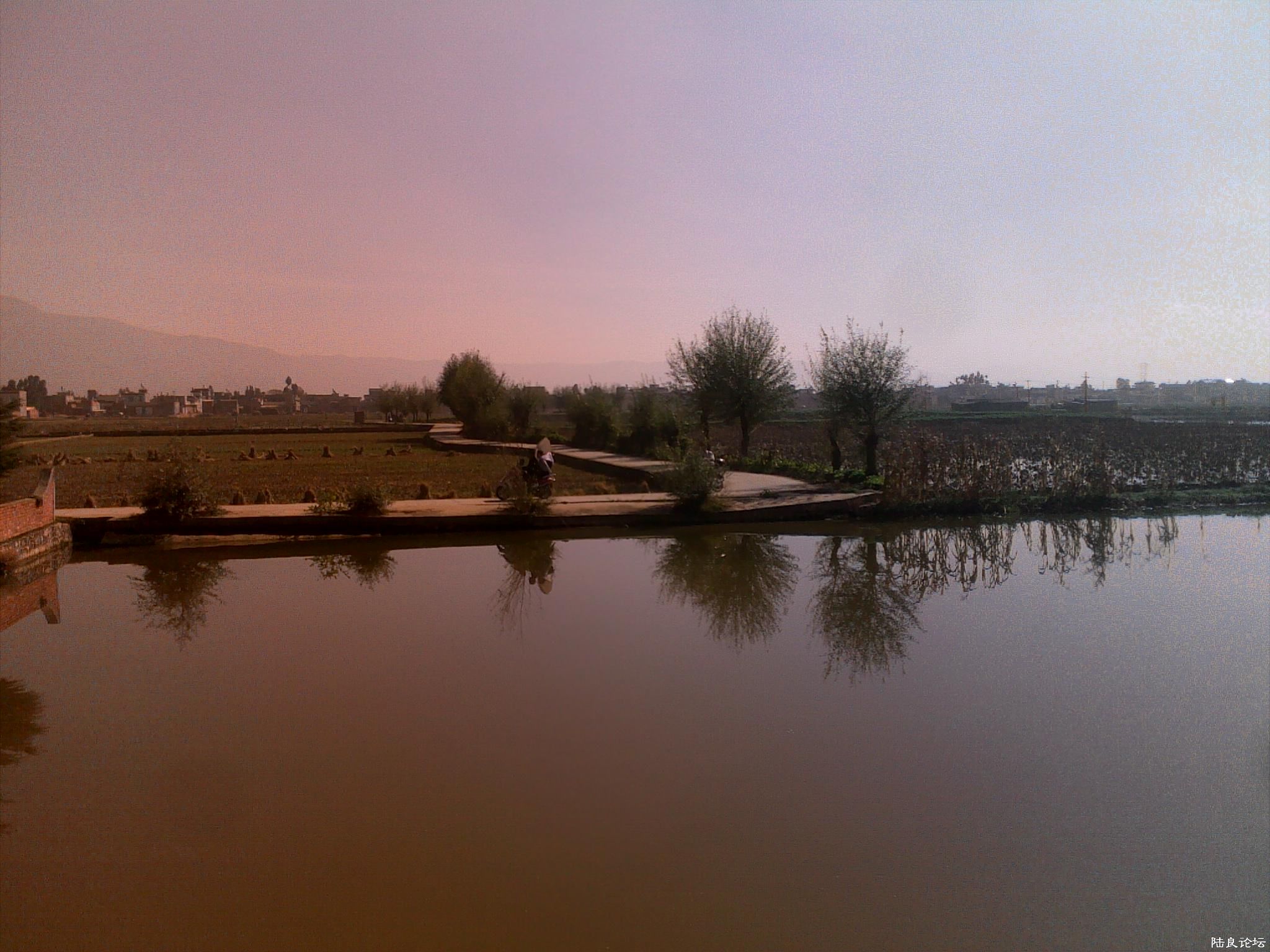 20121117519.jpg