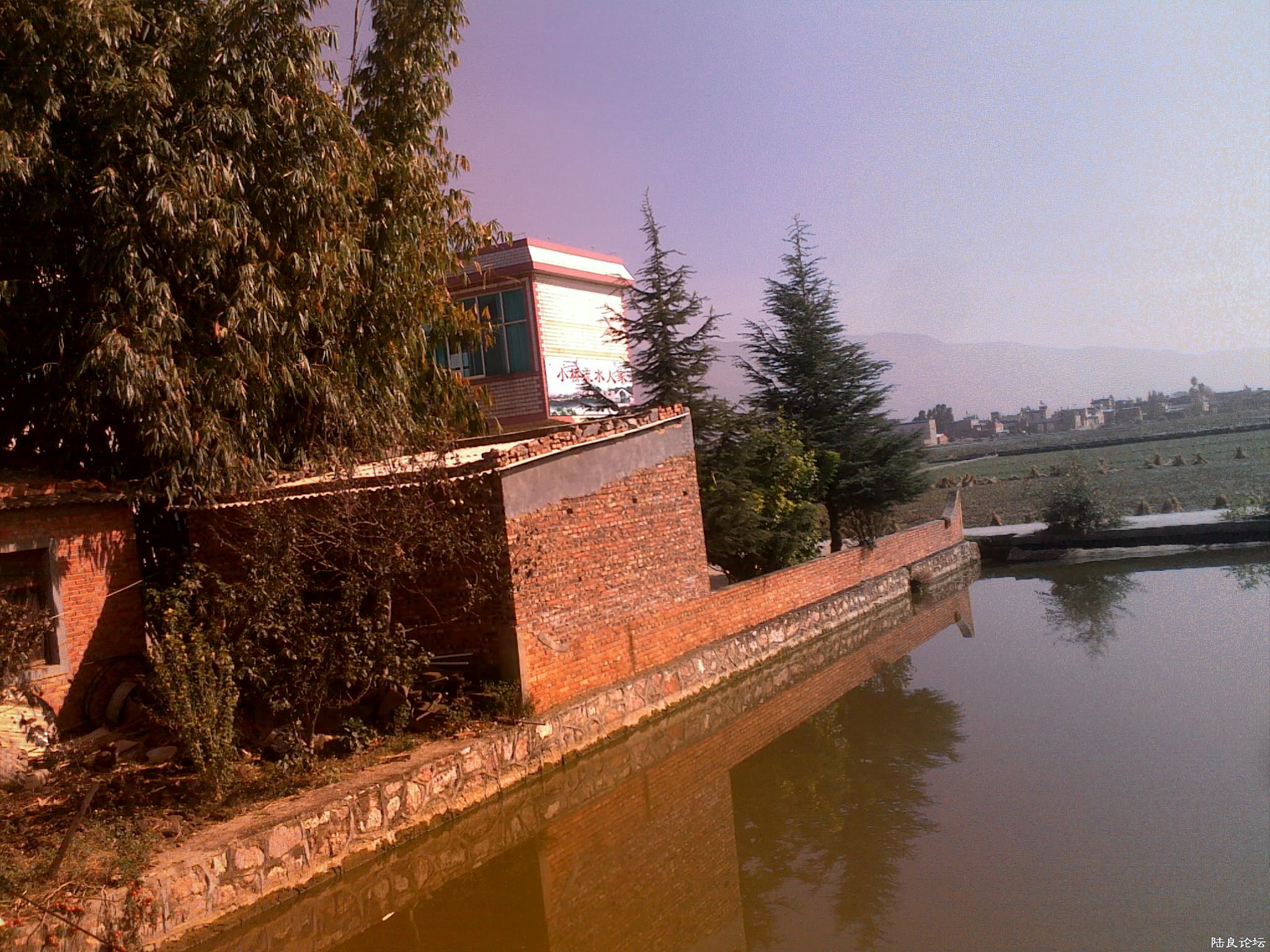 20121117520.jpg