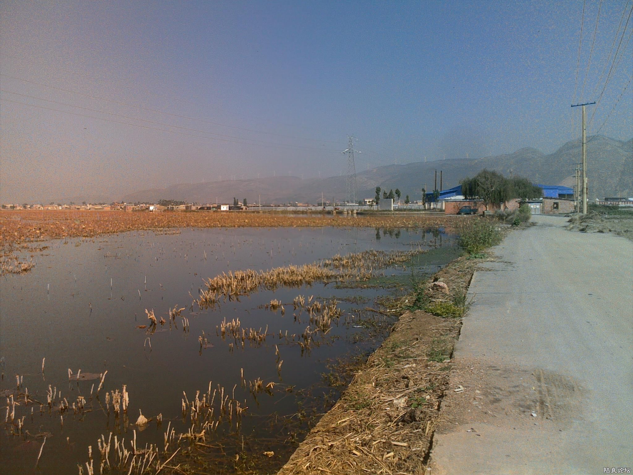 20121117522.jpg