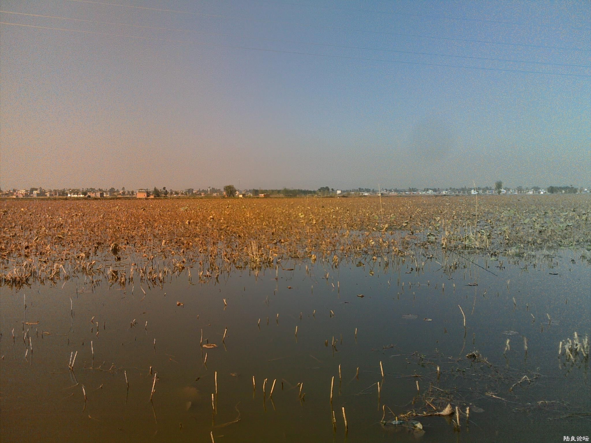 20121117523.jpg