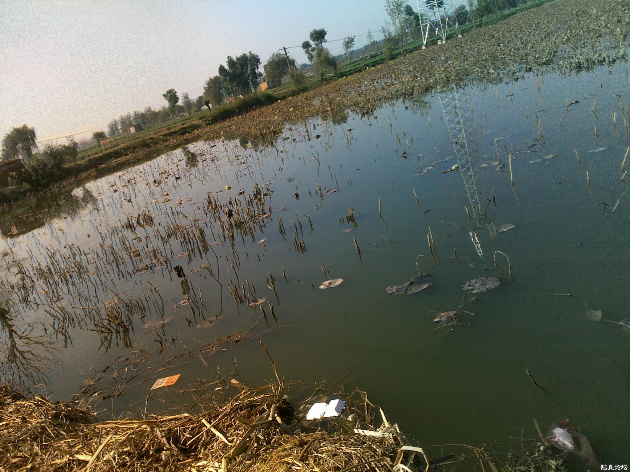 20121117525.jpg