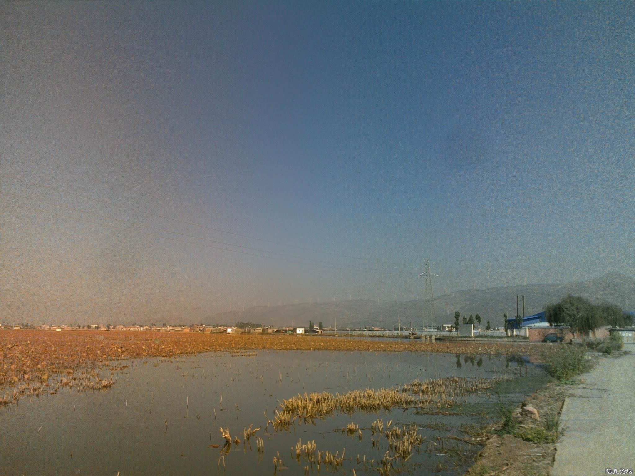 20121117528.jpg