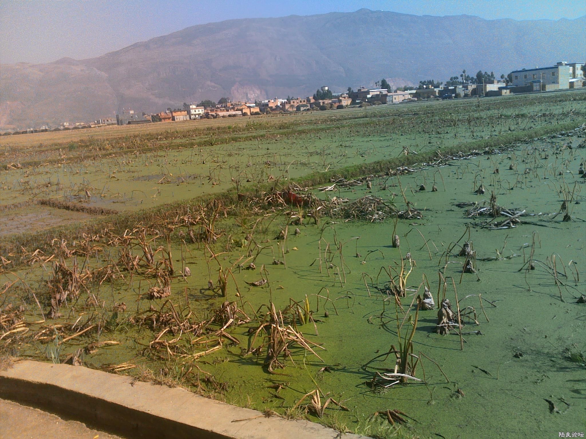 20121117529.jpg