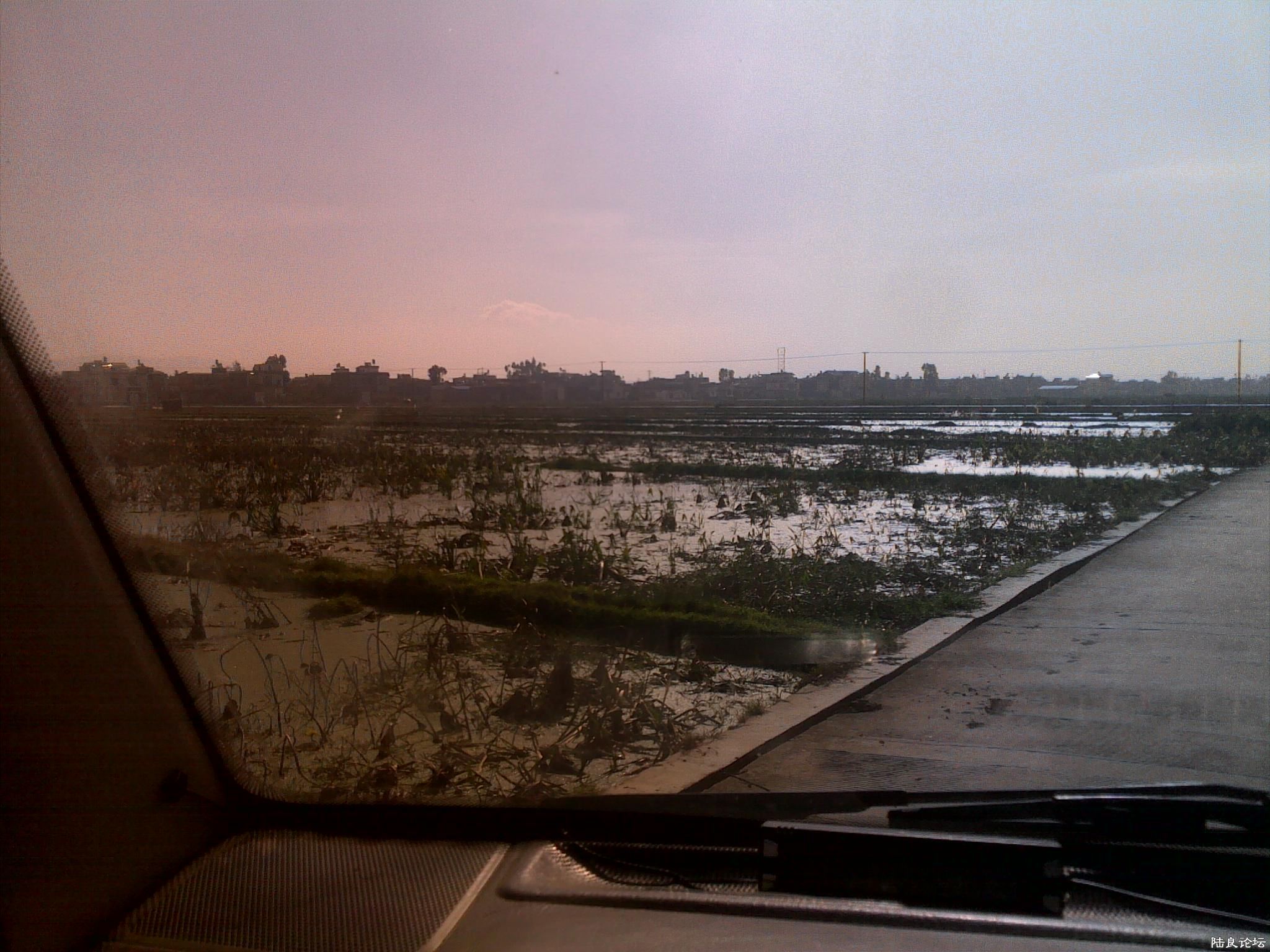 20121117530.jpg