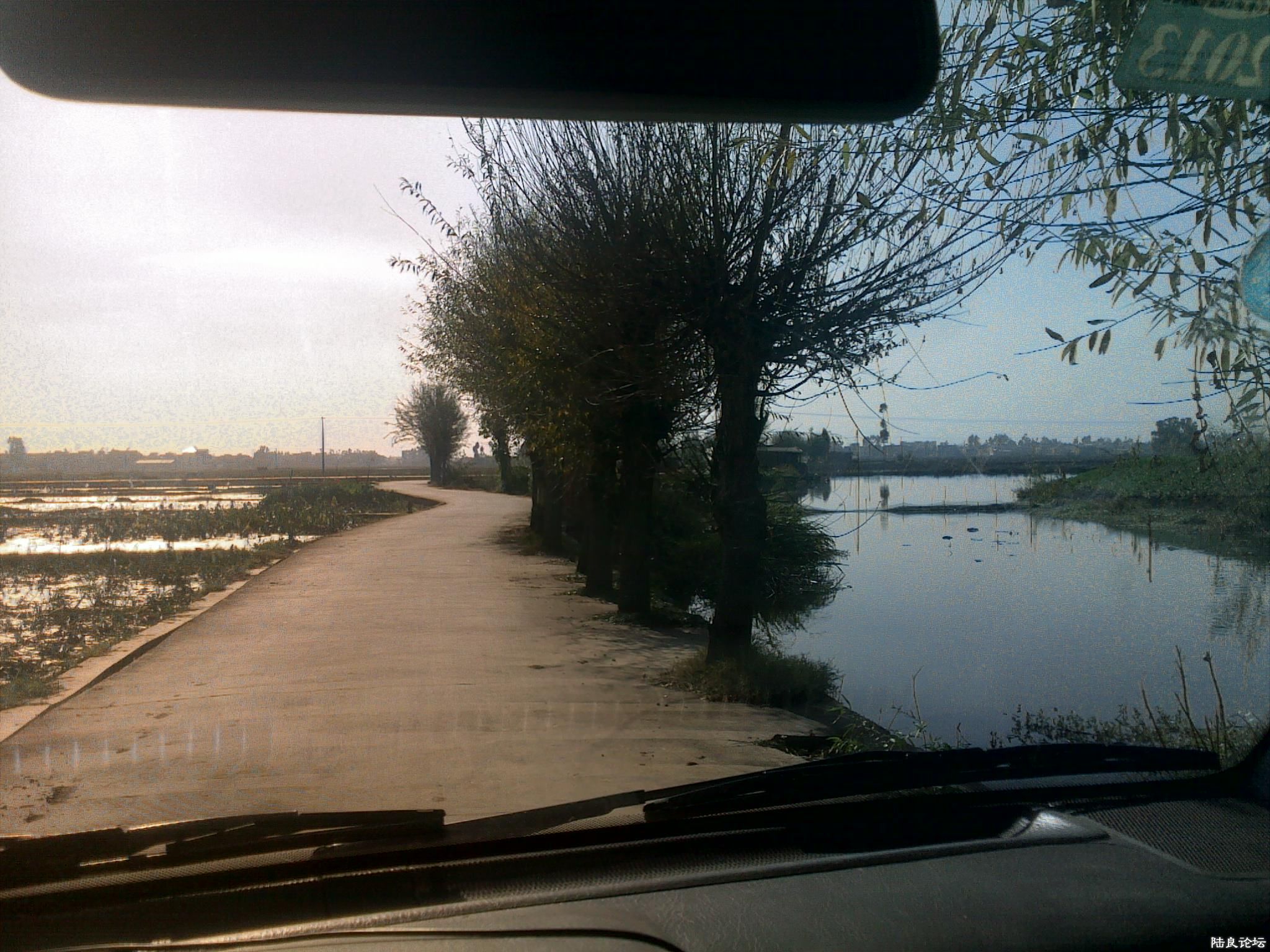 20121117531.jpg