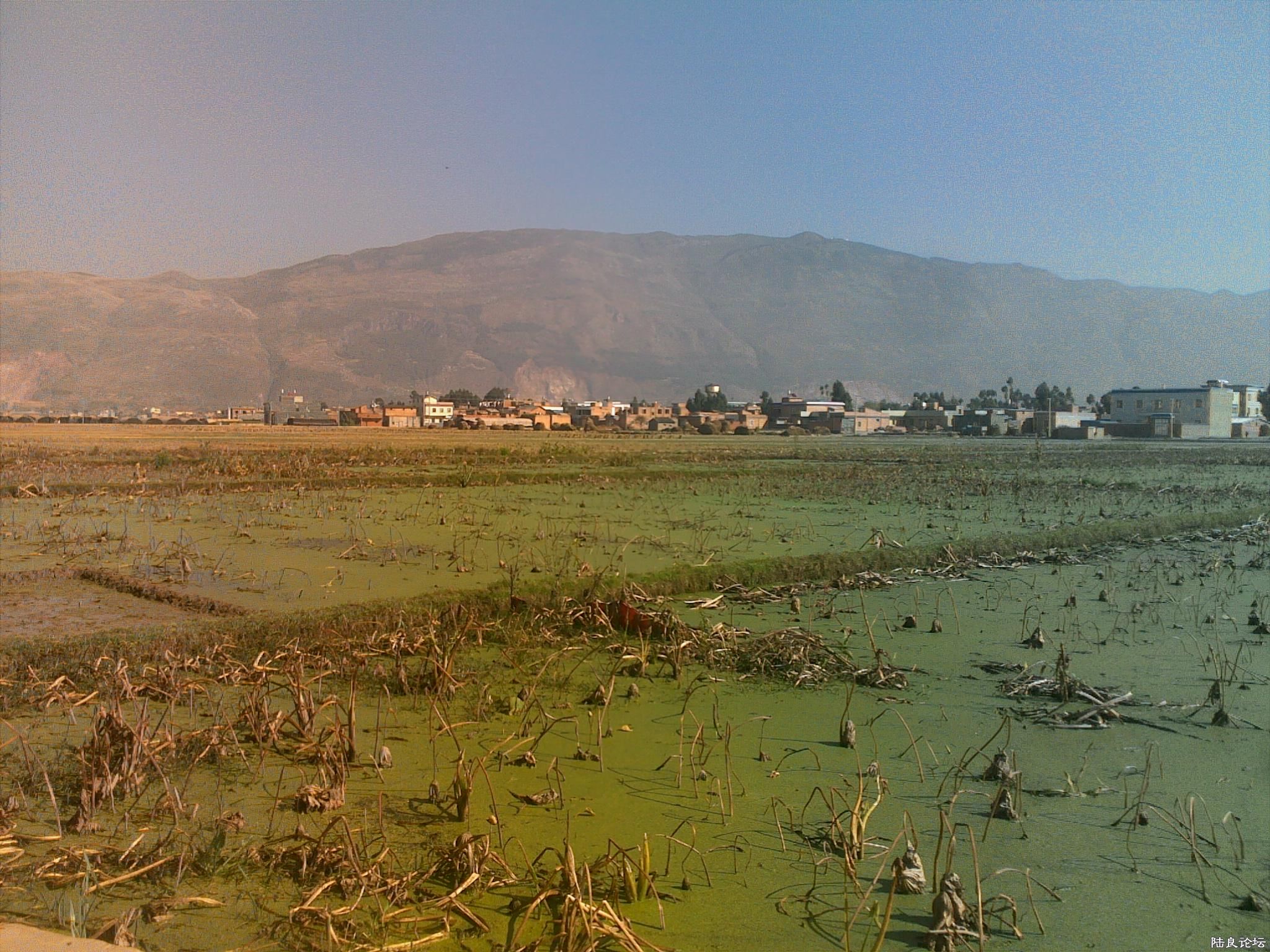 20121117533.jpg