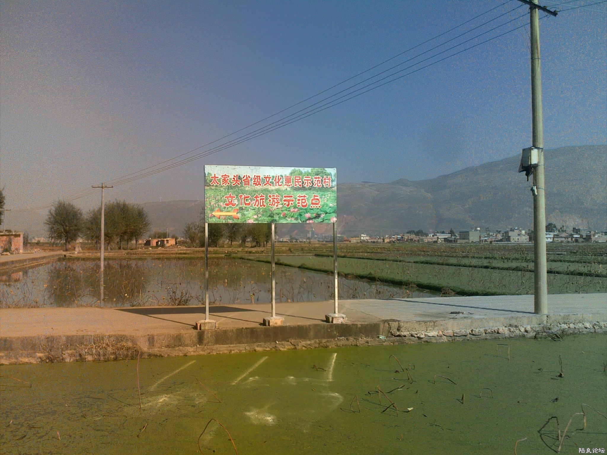 20121117534.jpg