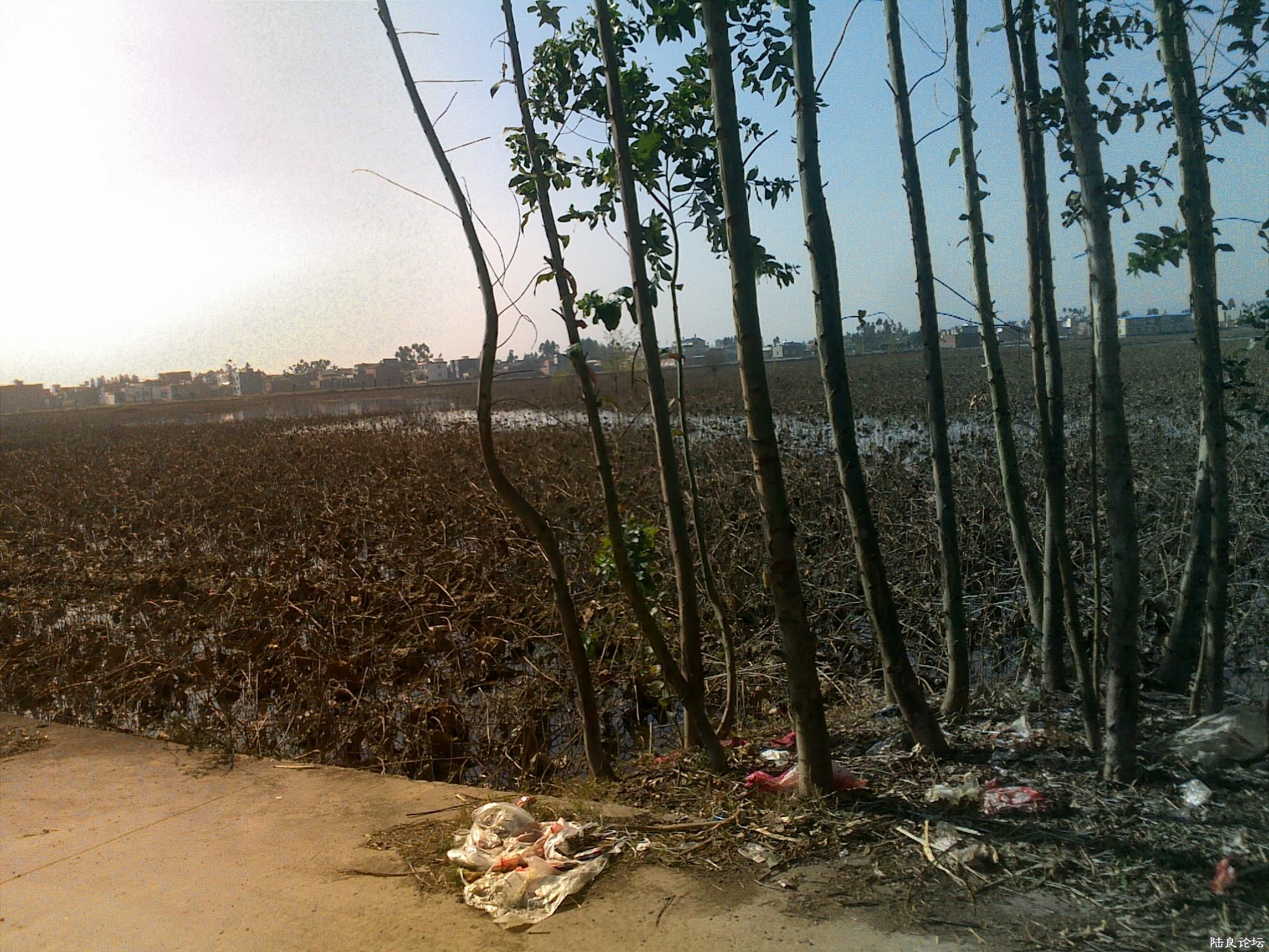 20121117536.jpg