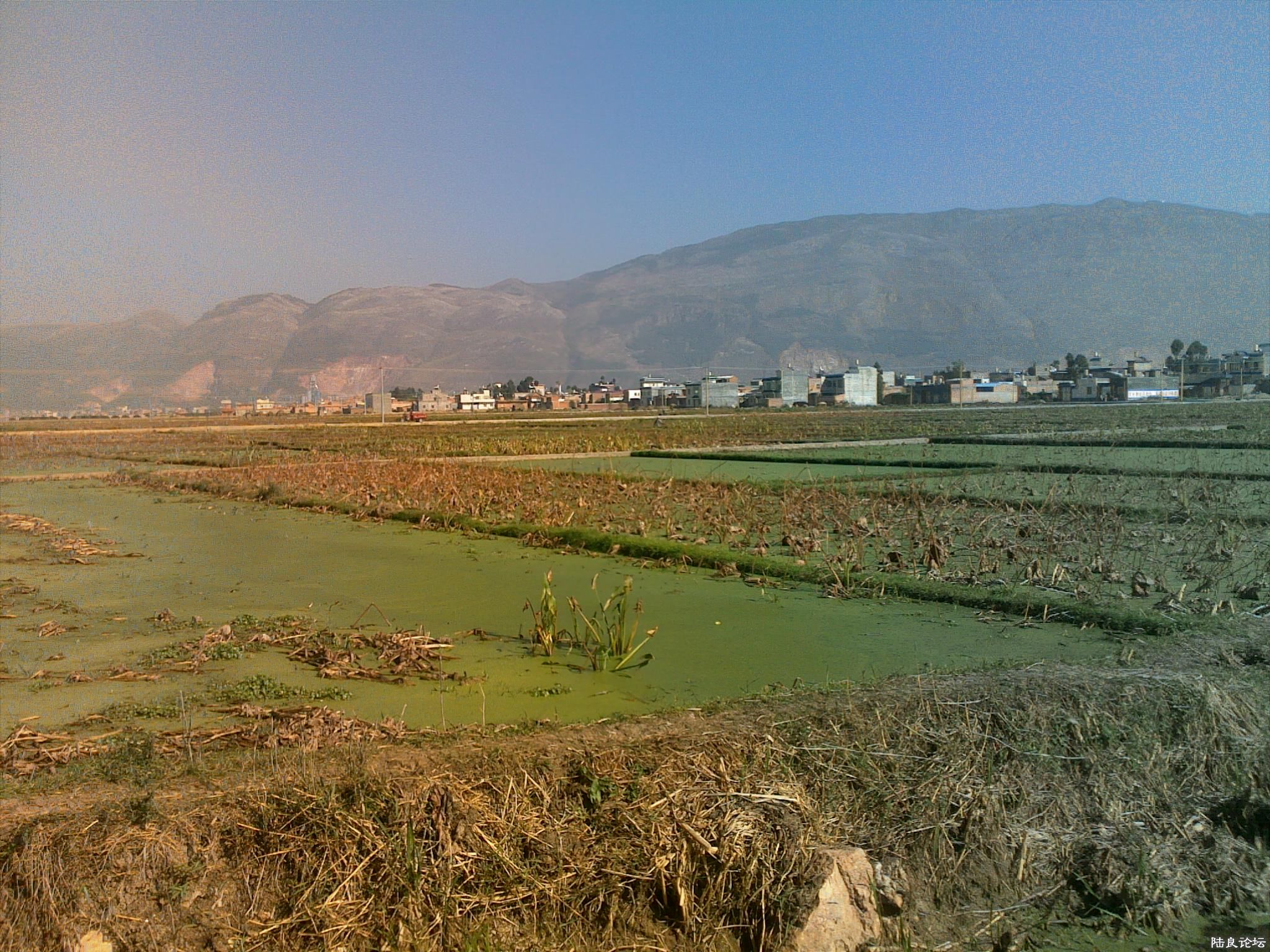 20121117538.jpg