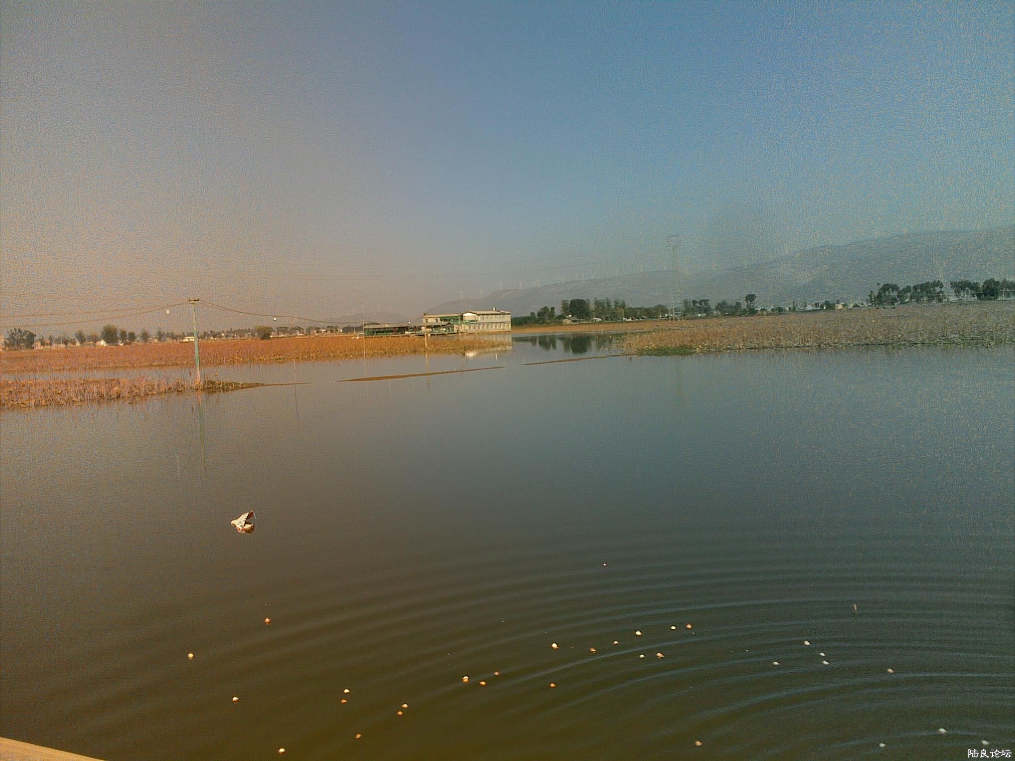 20121117540.jpg