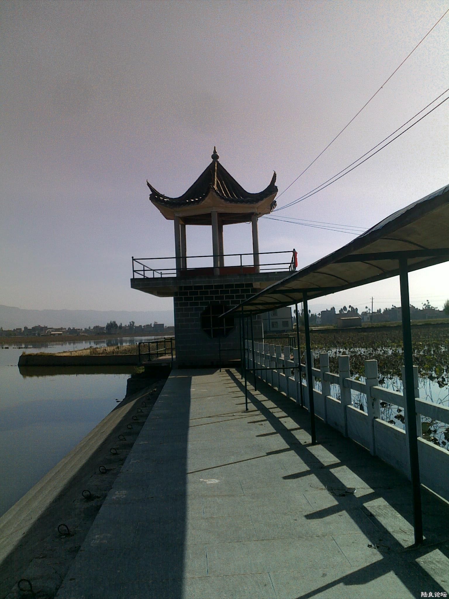 20121117542.jpg