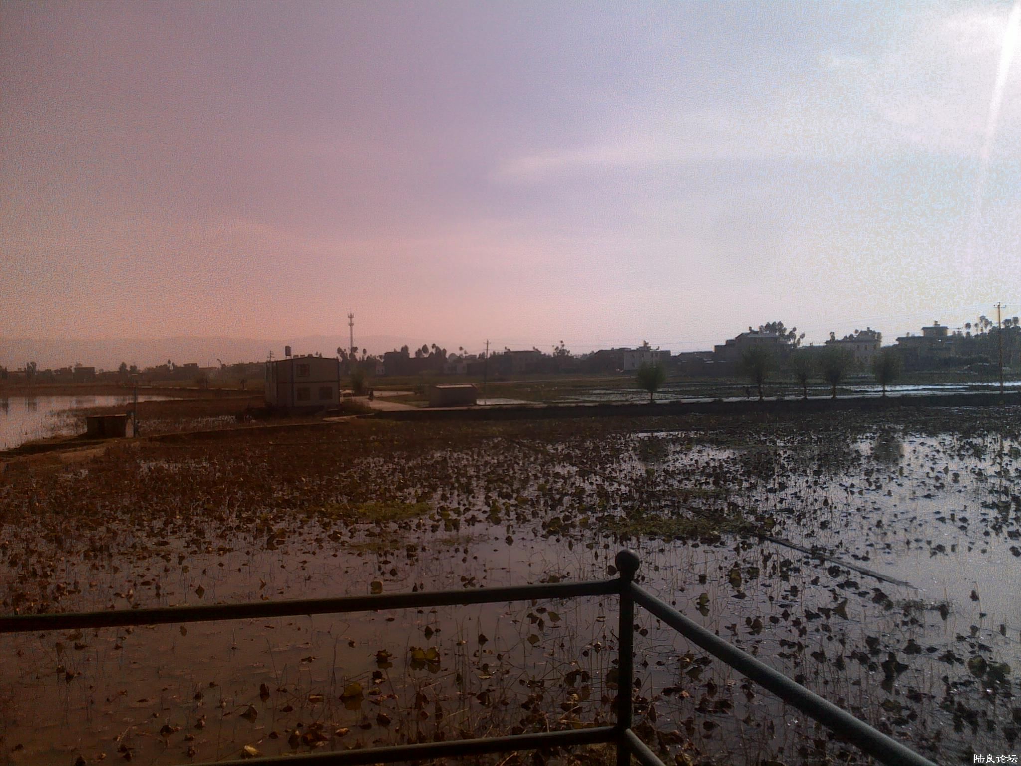 20121117544.jpg