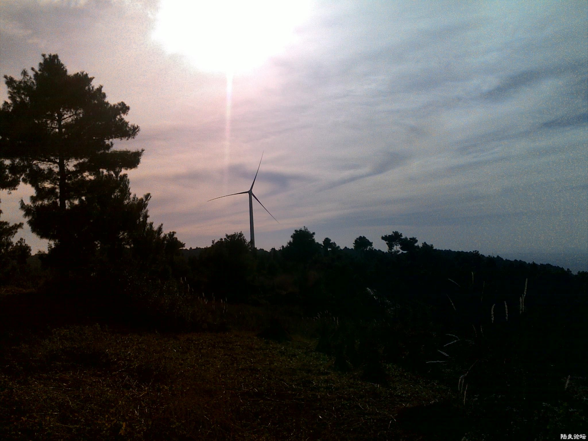 20121118546.jpg