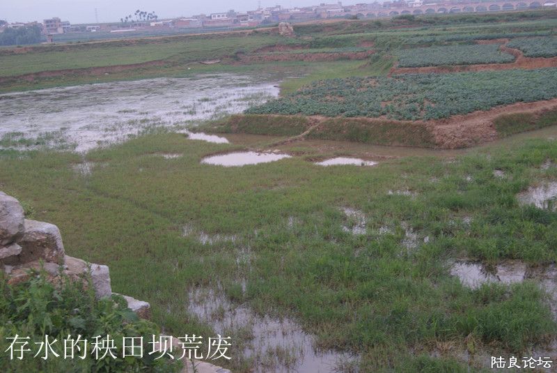 DSC02189_.jpg