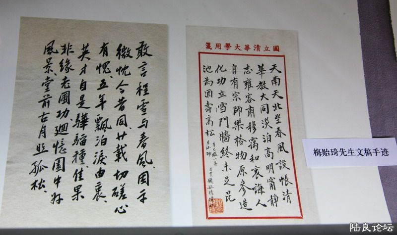 d181835675_0_015.JPG