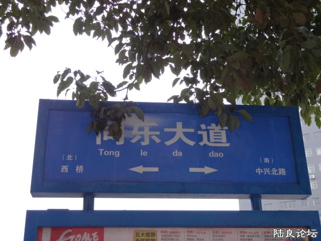 DSC00847.JPG