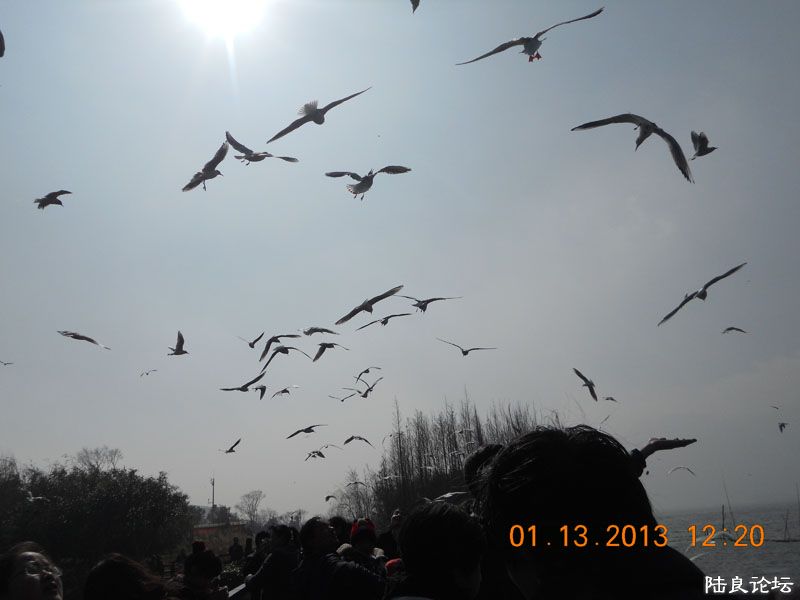 DSCN1607.jpg