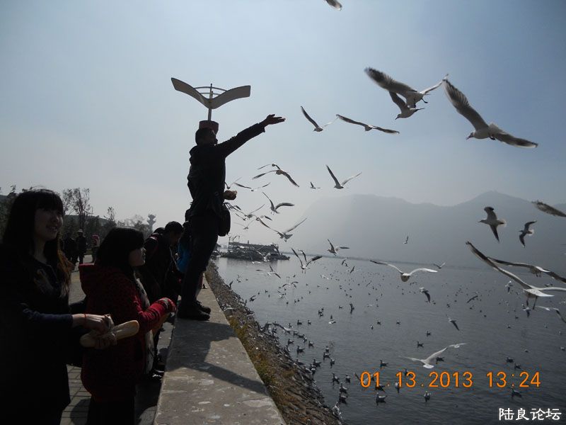 DSCN1645.jpg