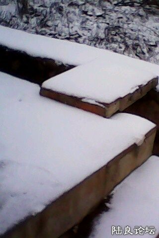 IMG0225A.jpg