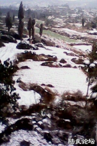 IMG0227A.jpg