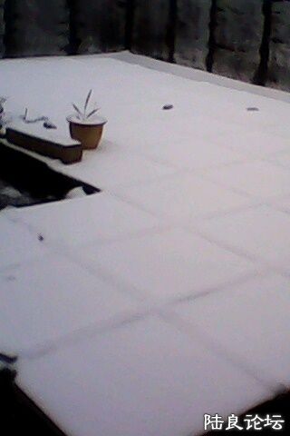 IMG0229A.jpg