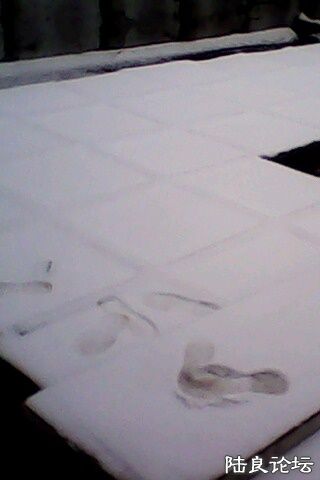 IMG0230A.jpg