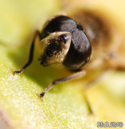 DSC_0342.jpg
