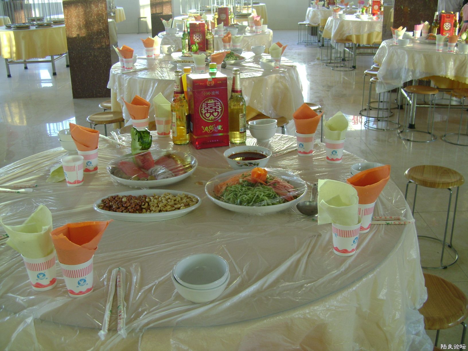 DSC08202.JPG