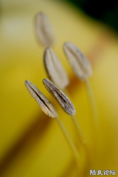 DSC_0960.JPG