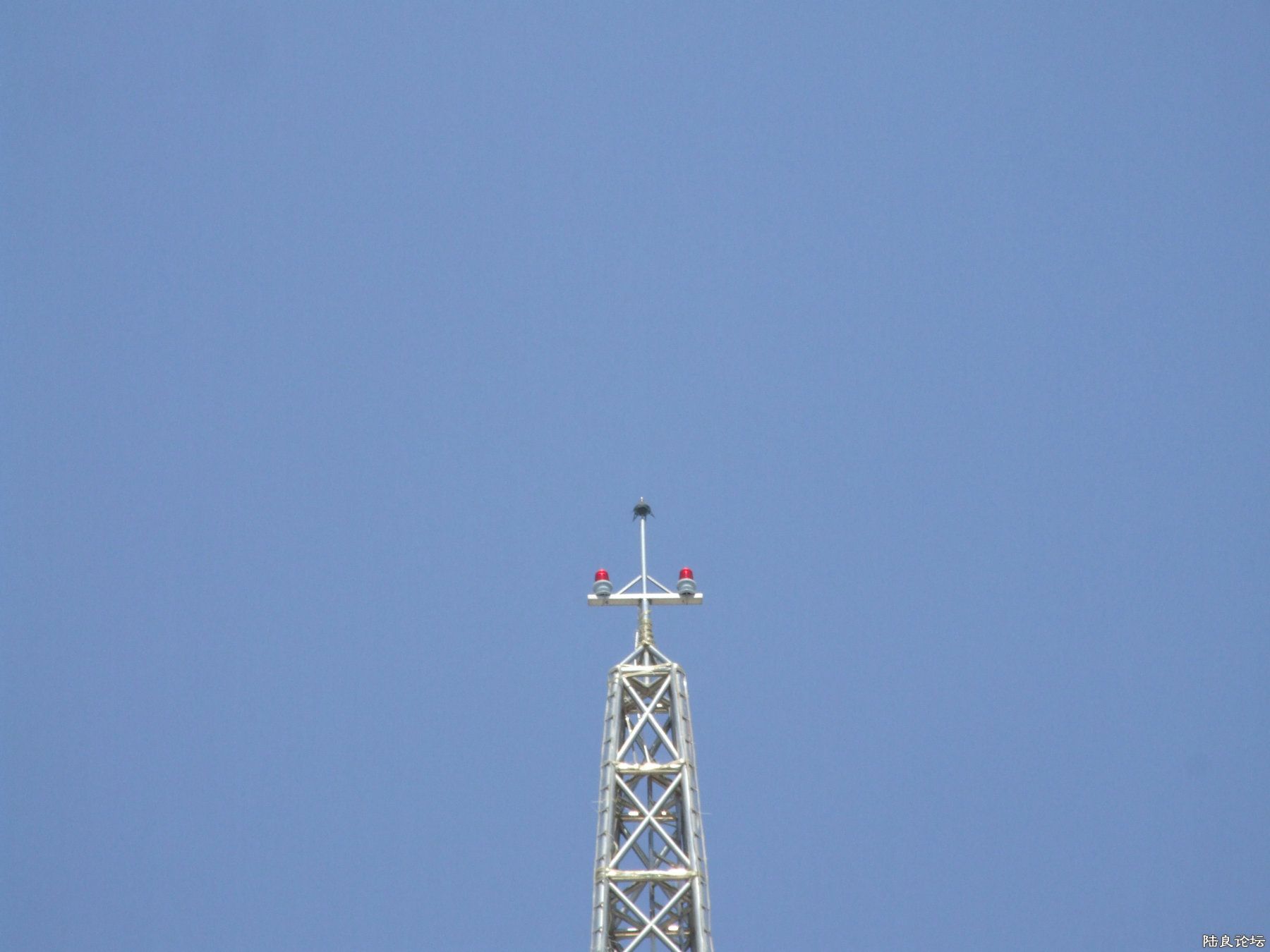 DSCF7162.JPG