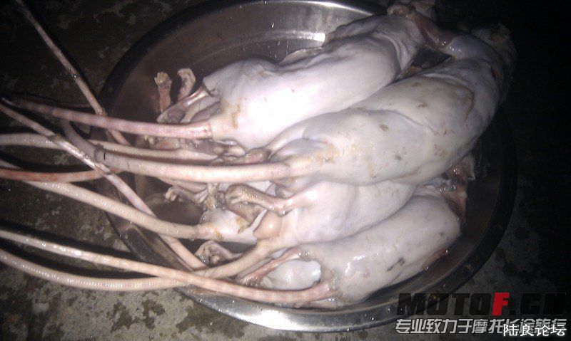 180244n30y6leix3e03mvy.jpg