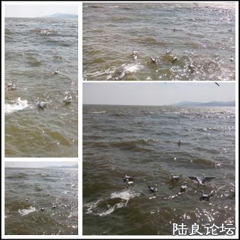 IMG_20130221_3.png