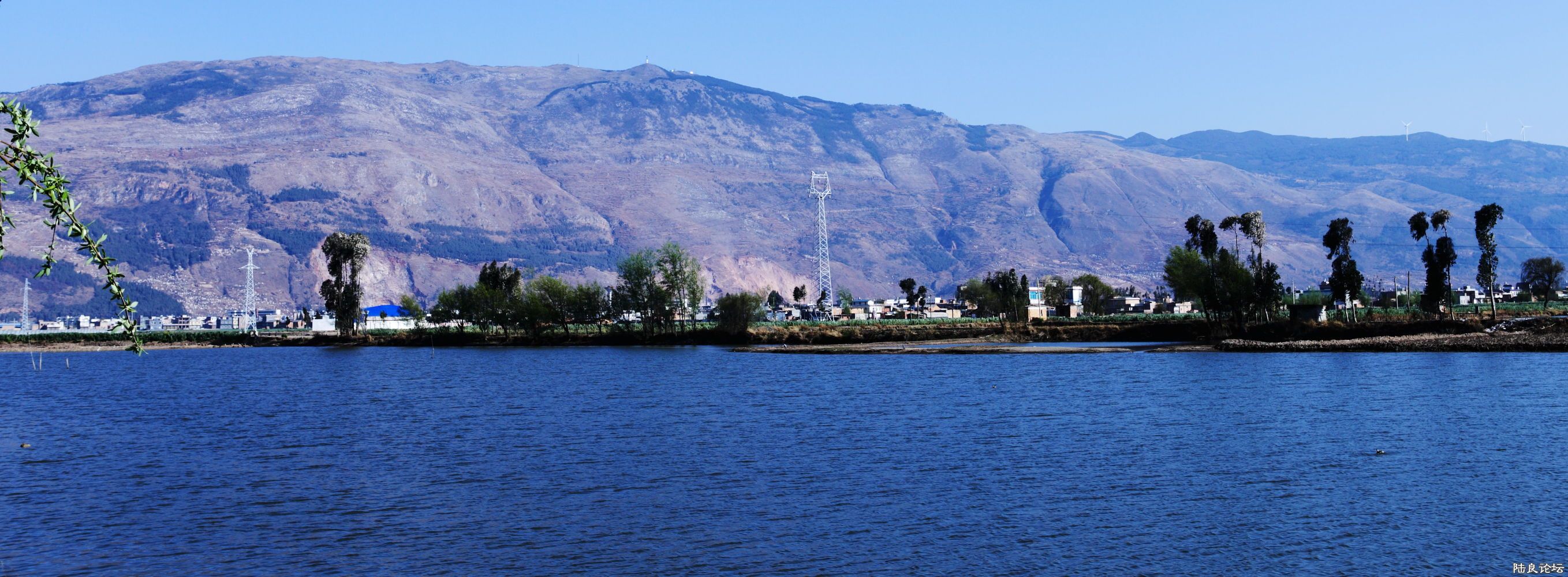 IMG_84849.JPG