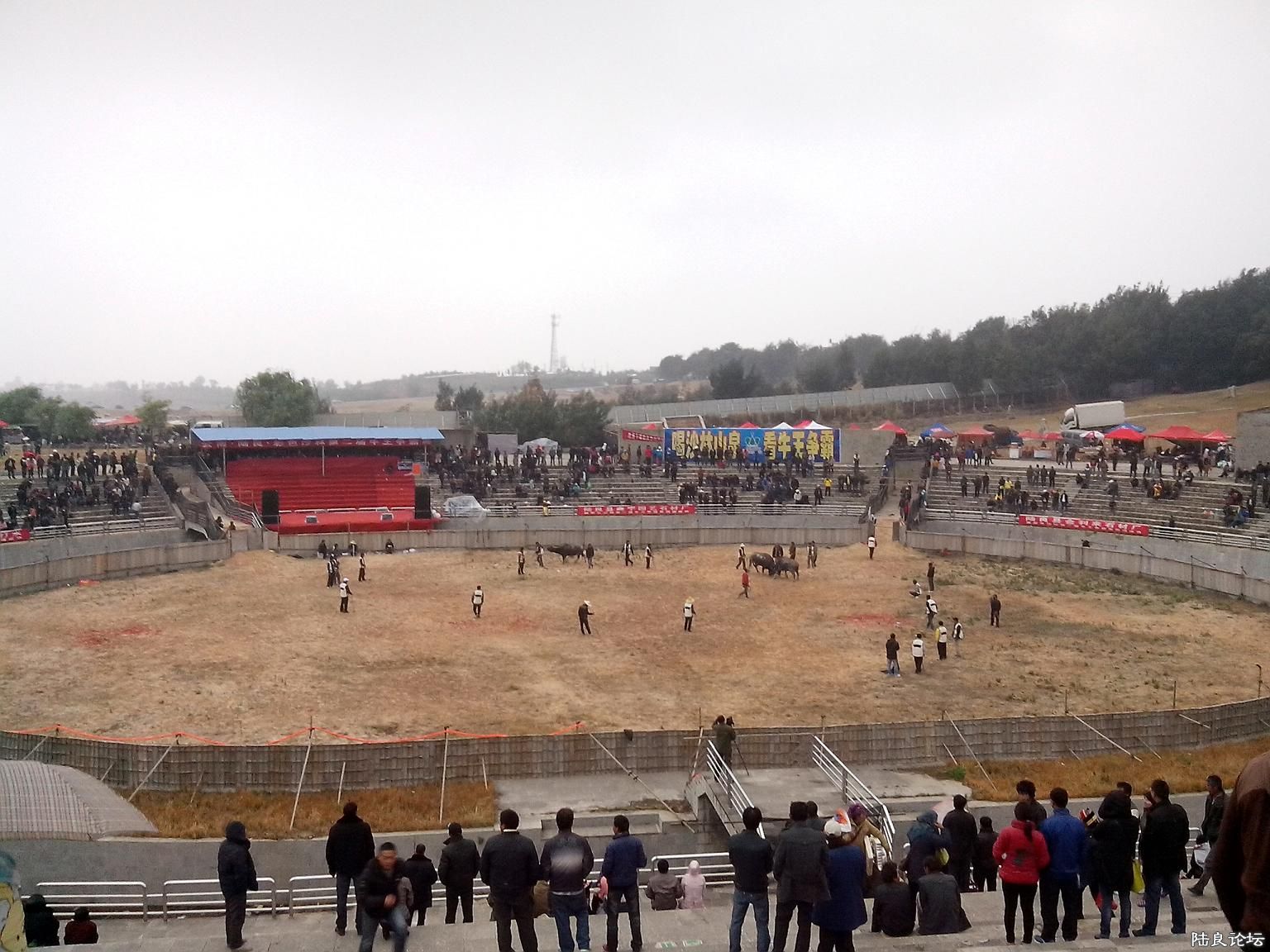 IMG_20130412_170347.jpg